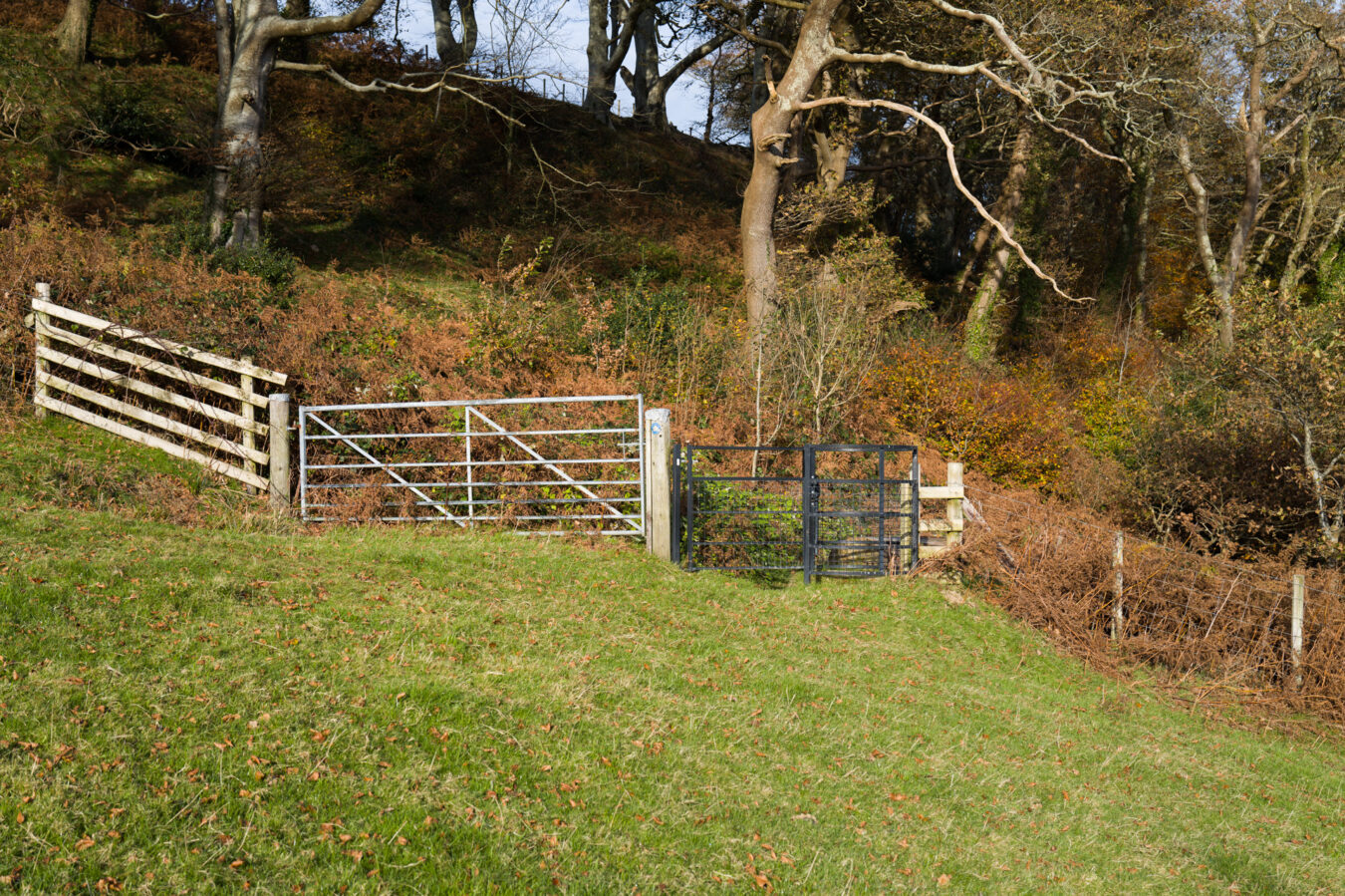 Small black gate