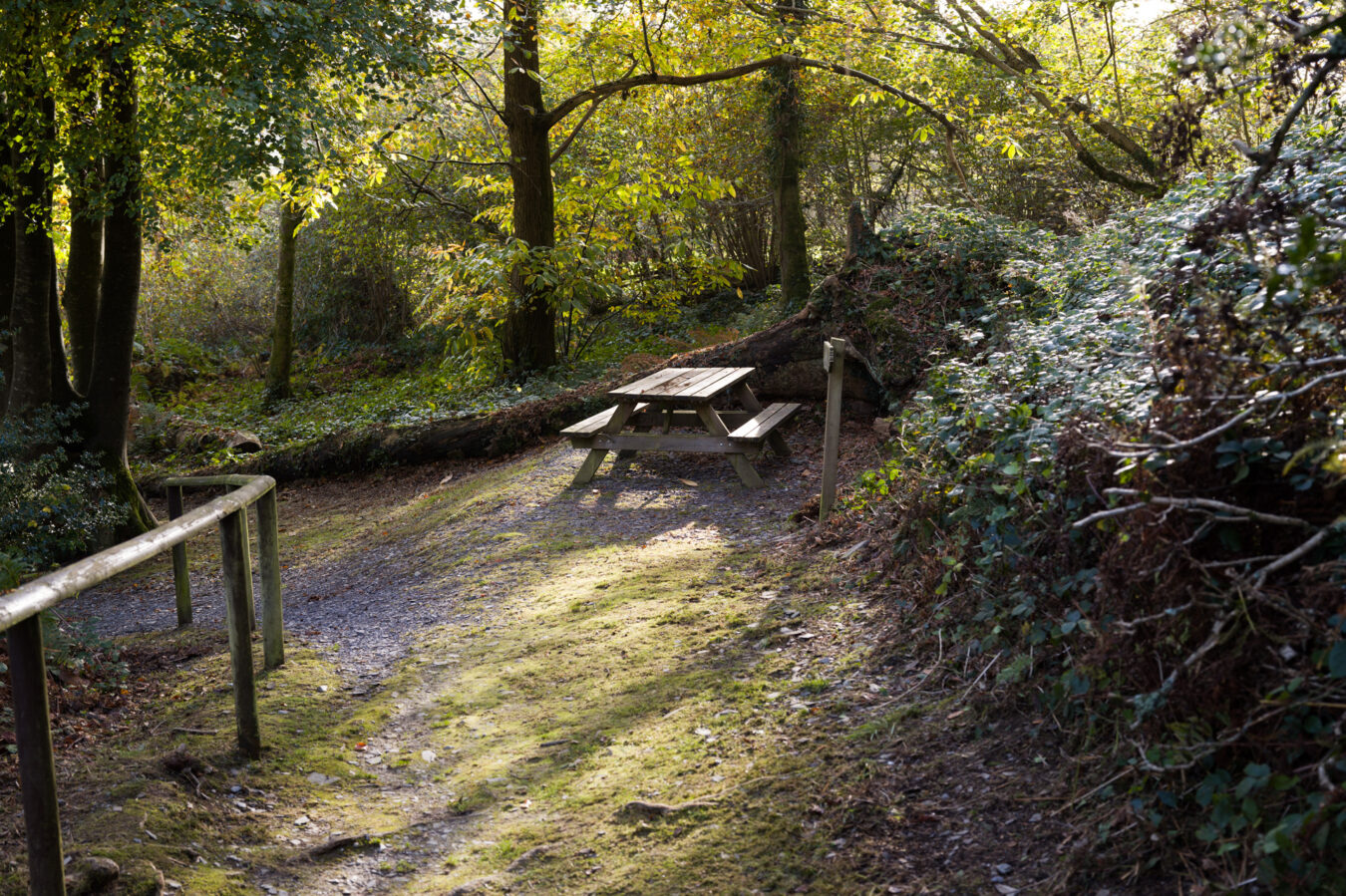 Another picnic table going down the path