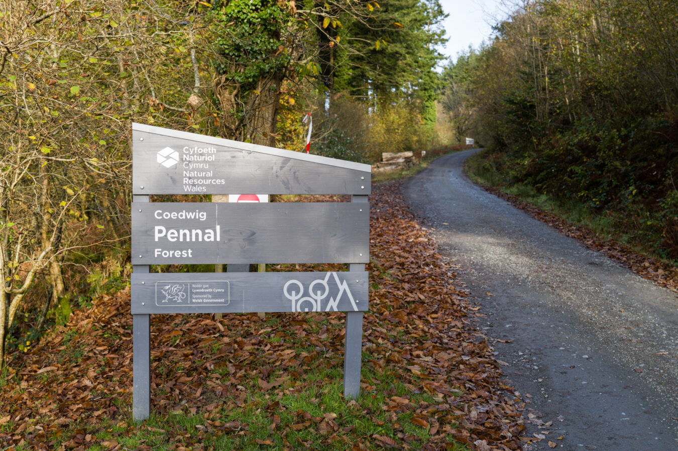 Pennal Forest entrance sign