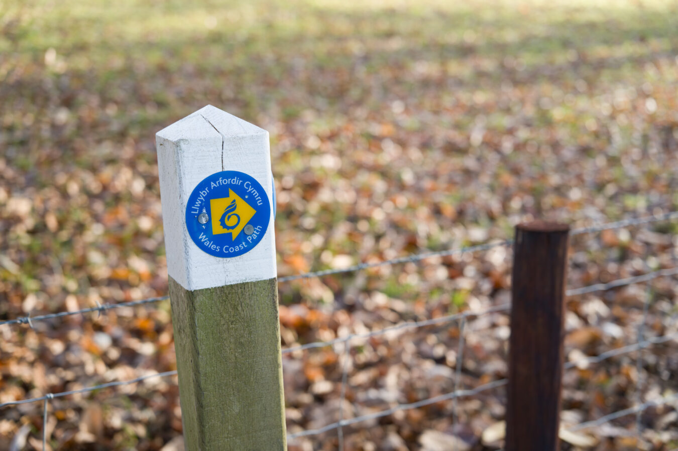 Wales Coast Path sign