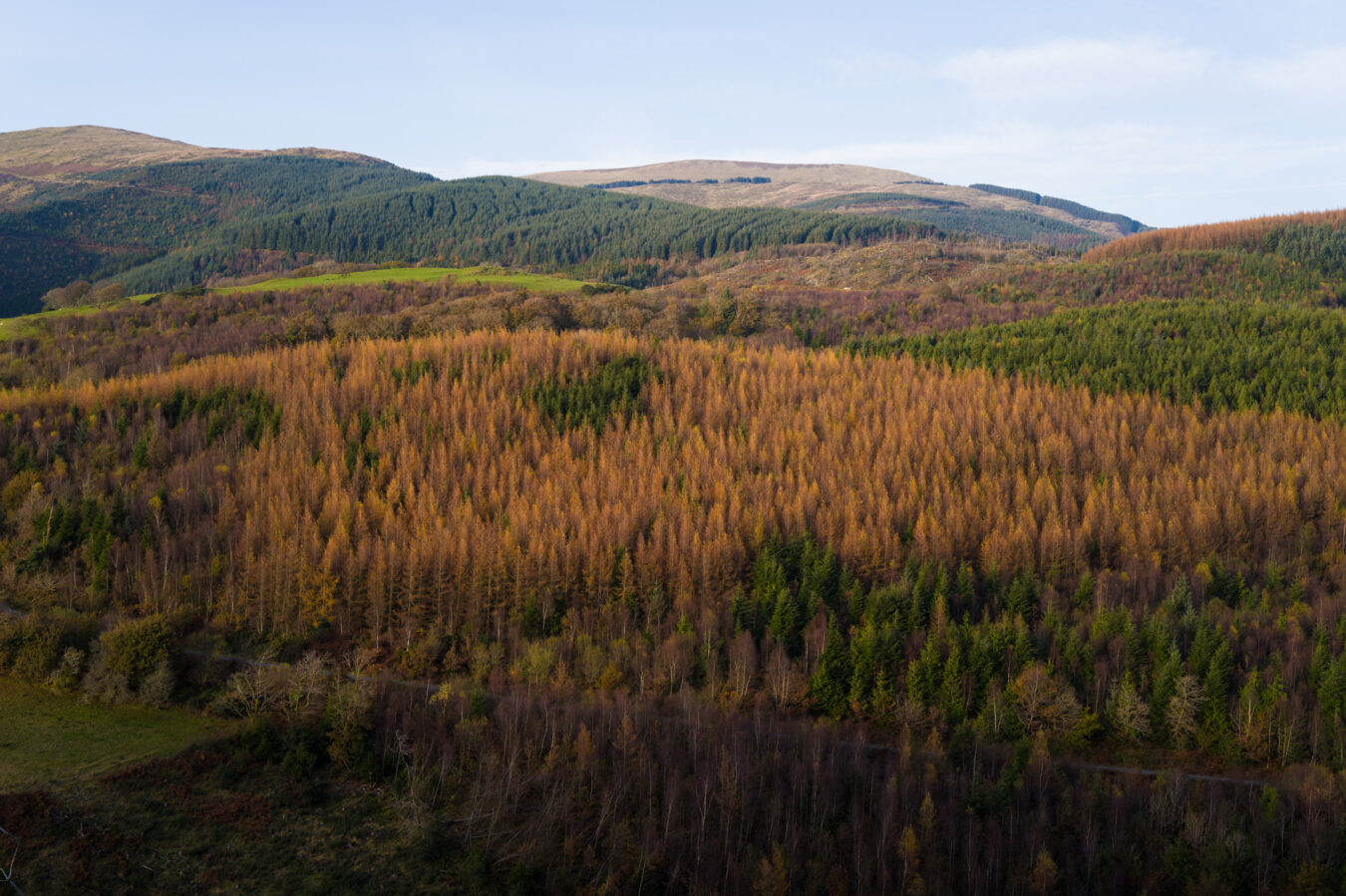 Autumn colours in the valley