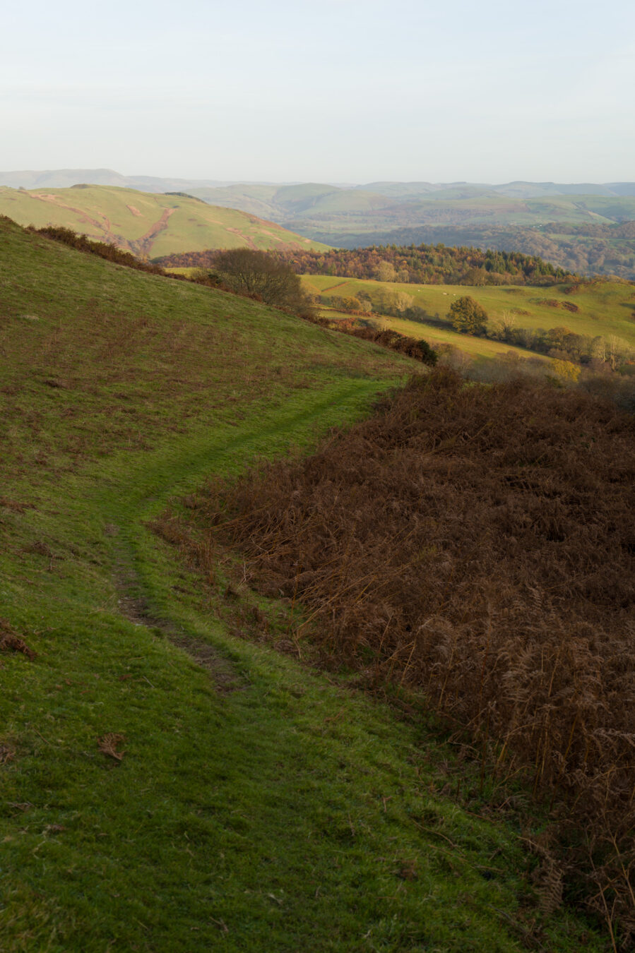 Walking down towards the A493