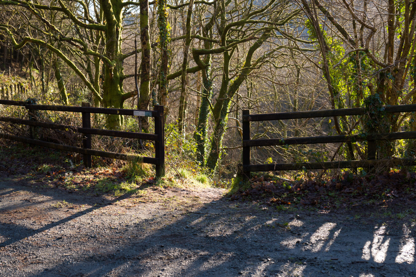 Alternative path to go around the road closure