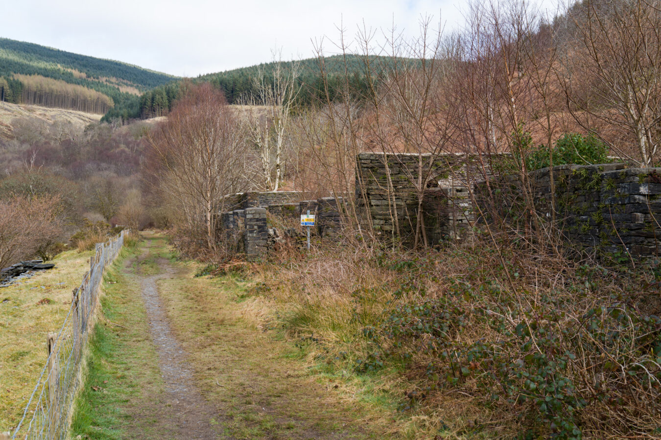 Path and ruins