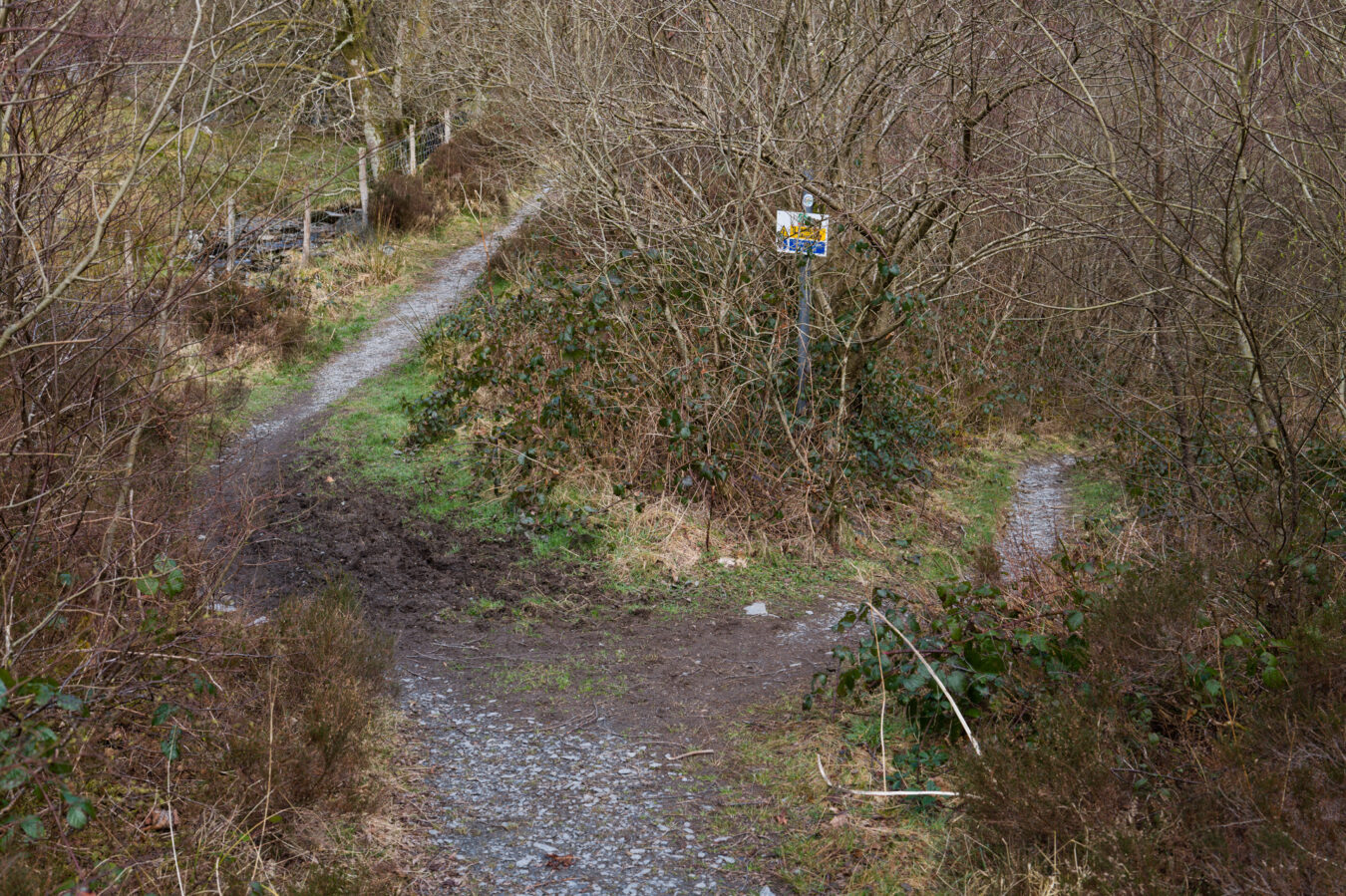 Fork in the path