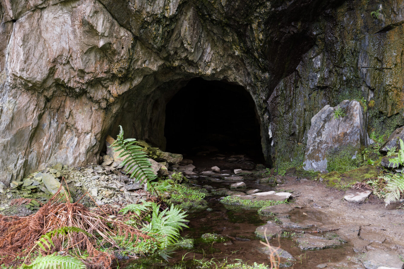 Low tunnel