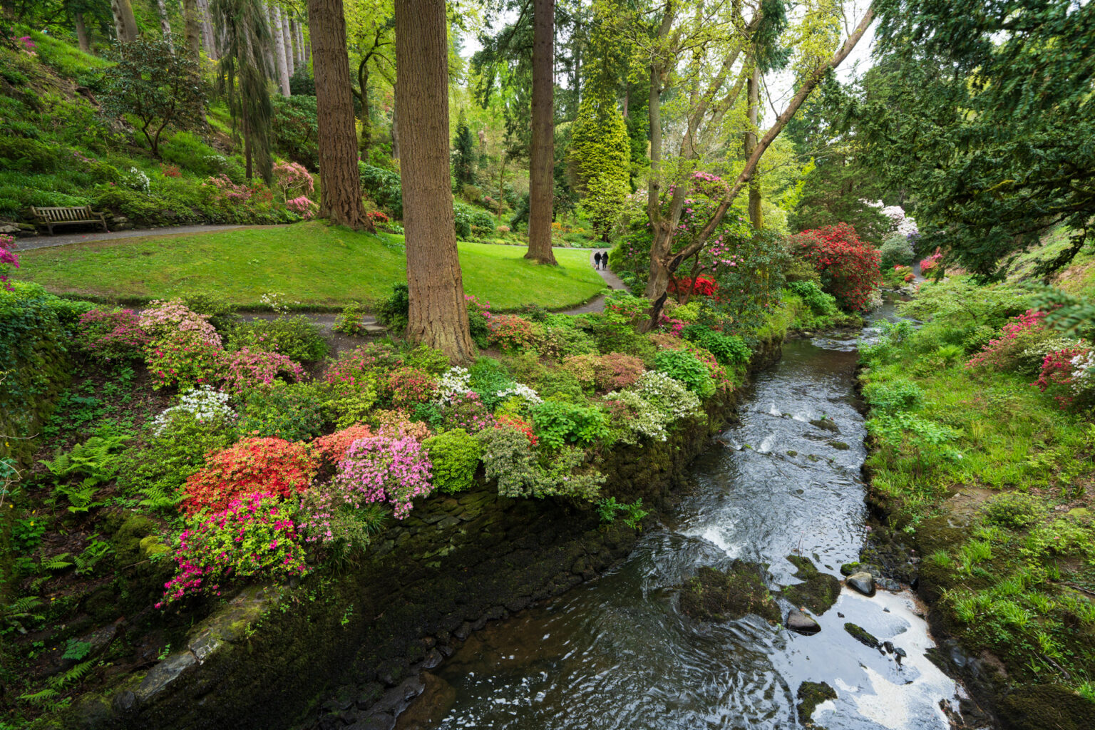 Spring Wales 12 Gardens and Scenic Destinations to Explore in Wales This Spring - We ...