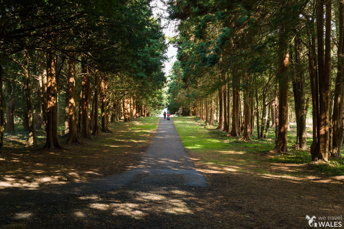 Plas Newydd House and Gardens