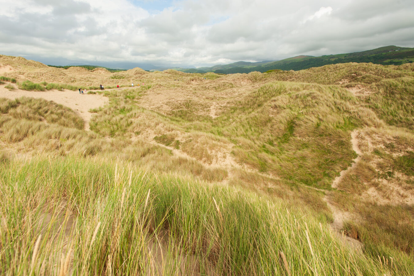 Vast sand dunes at Harlech beach