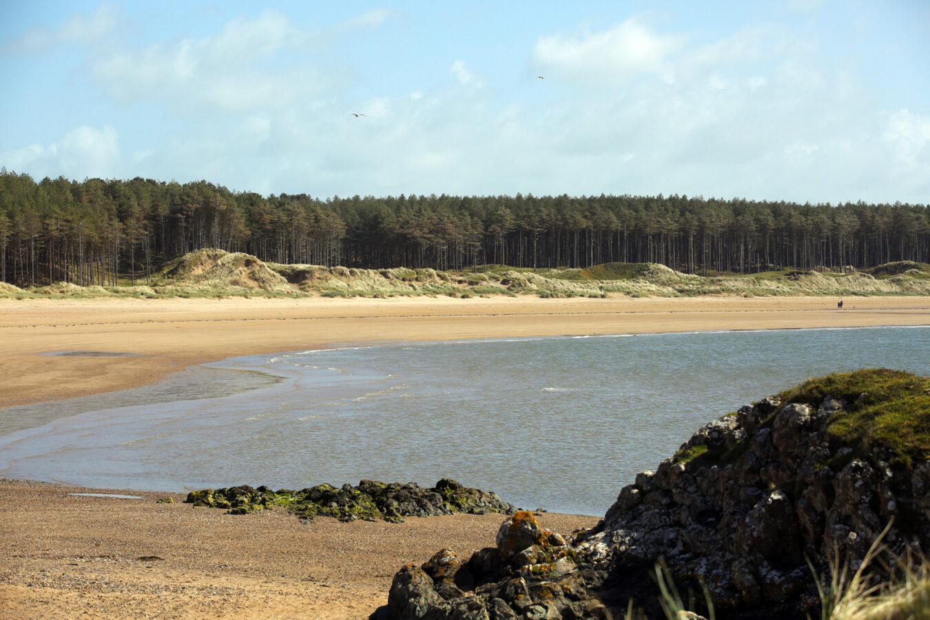 Llanddwyn beach and Newborough forest in the background