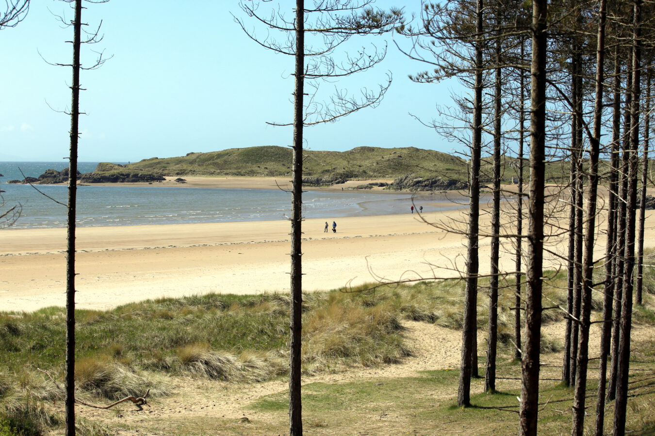 View of Llanddwyn beach from the forest