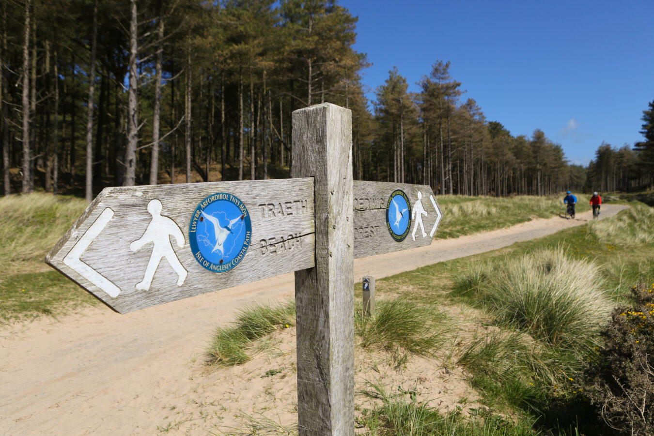 Walking trail sign