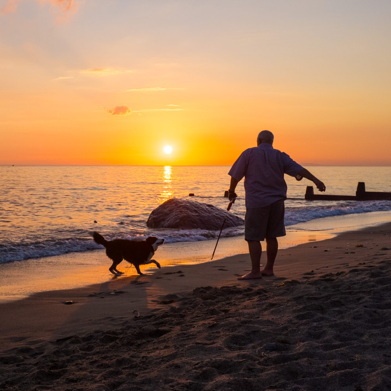 Man playing on the beach with his dog at sunset