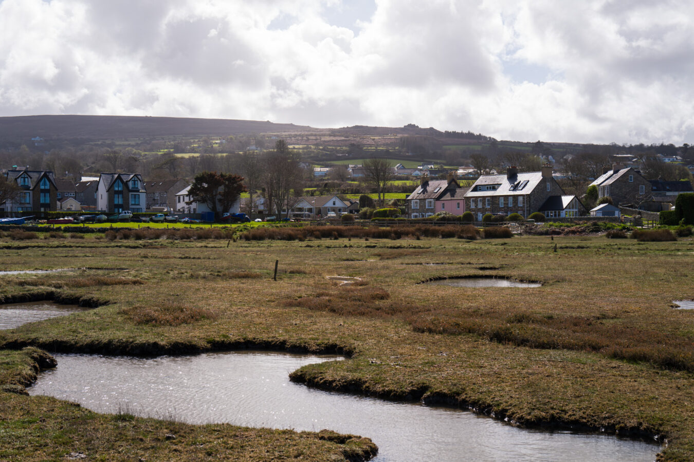 Parrog
