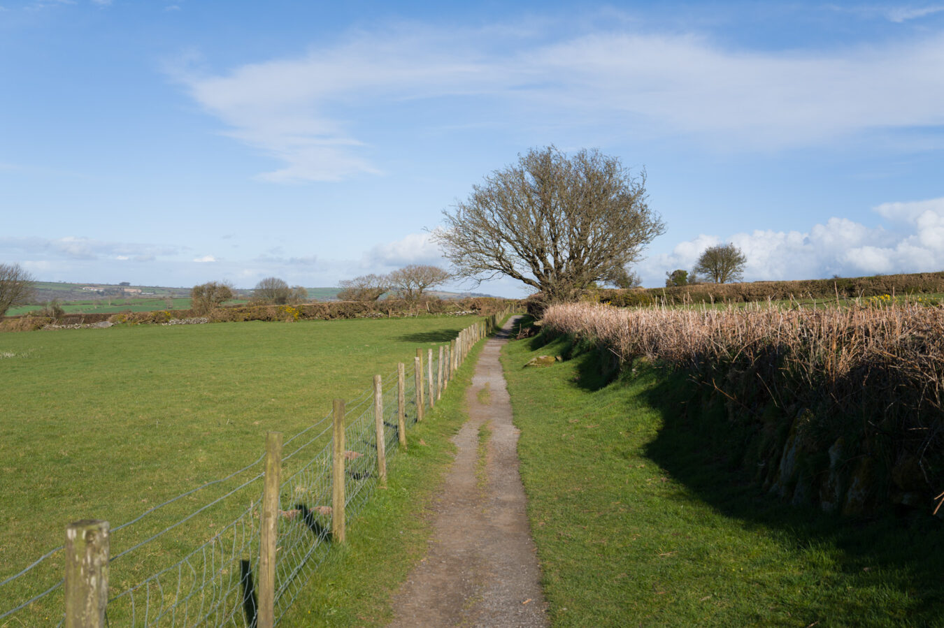 Path leading to Pentre Ifan