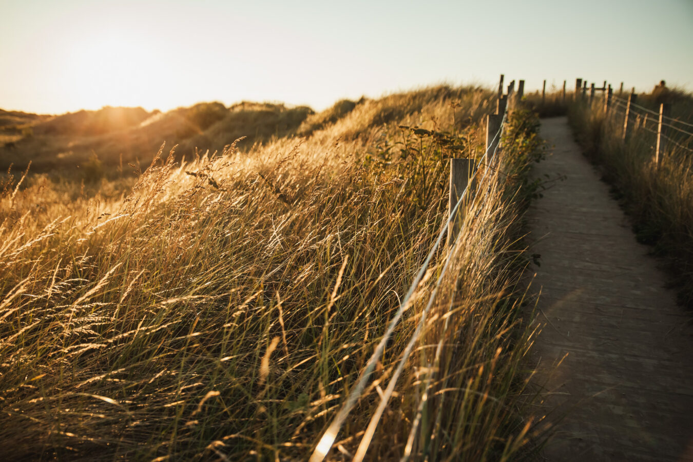 Close-up on the pathway to the beach near sunset time