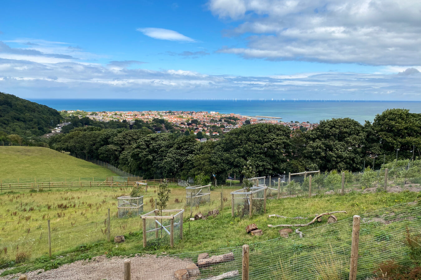 View of Colwyn Bay and the coastline in the distance from the Welsh Mountain Zoo