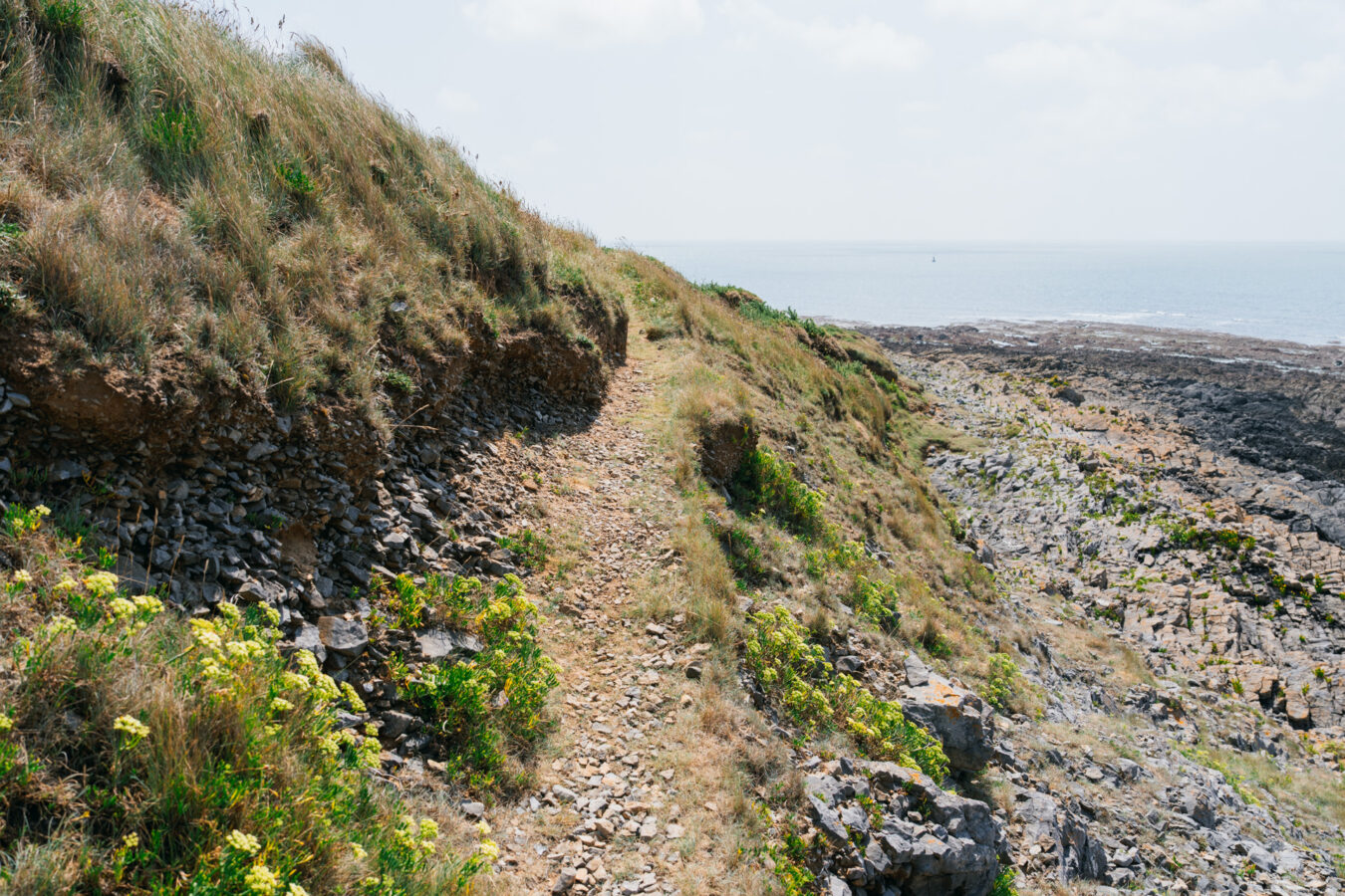 Trail leading closer to the beach