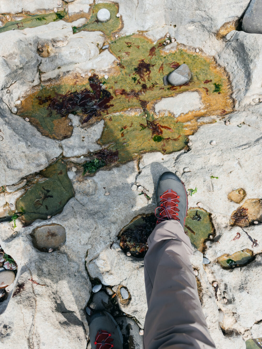 Walking on the rock pools