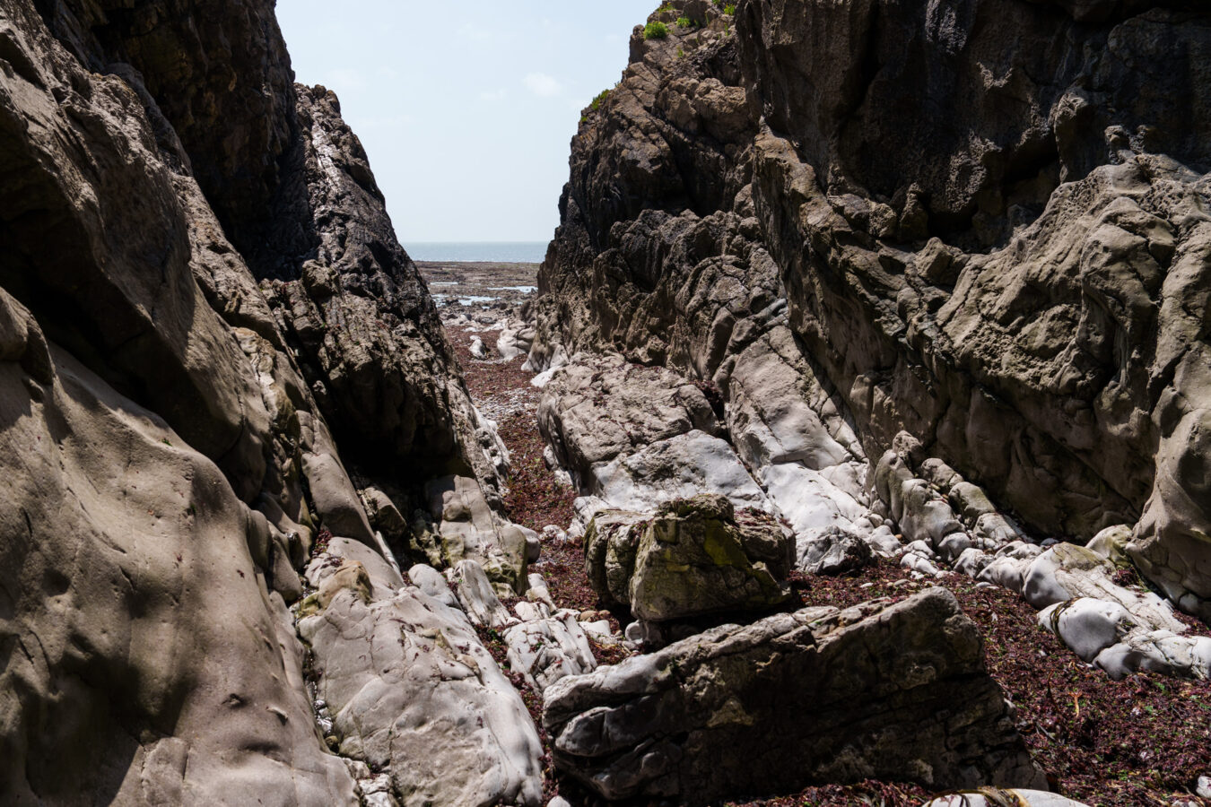 View of the rocks and beach in the distance from Culver Hole