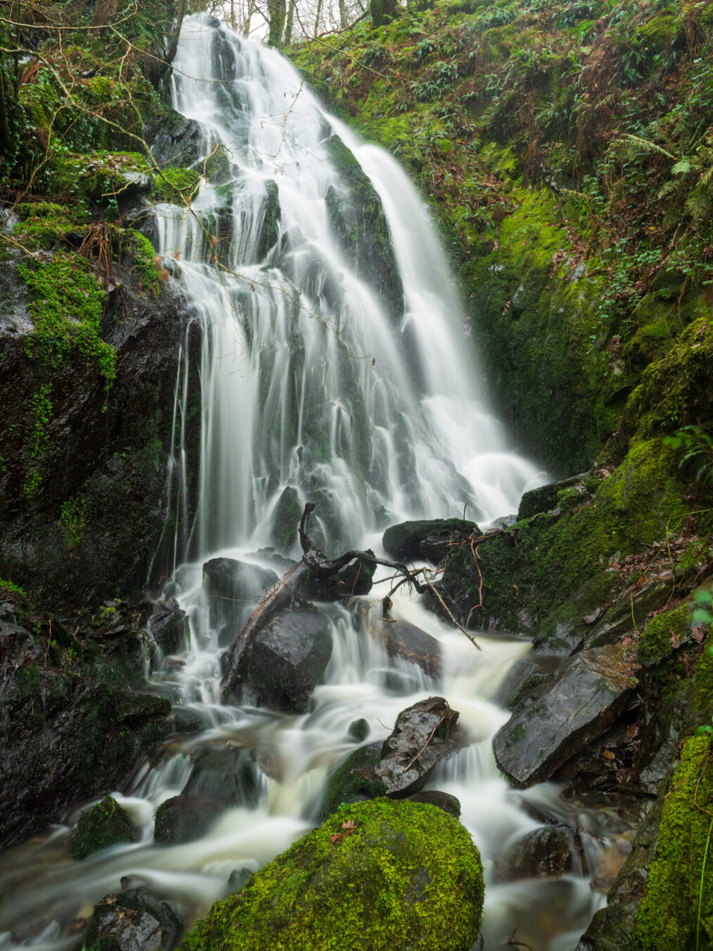 Smaller fall in Dolgoch Falls