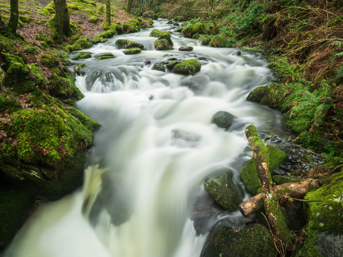 Dolgoch falls