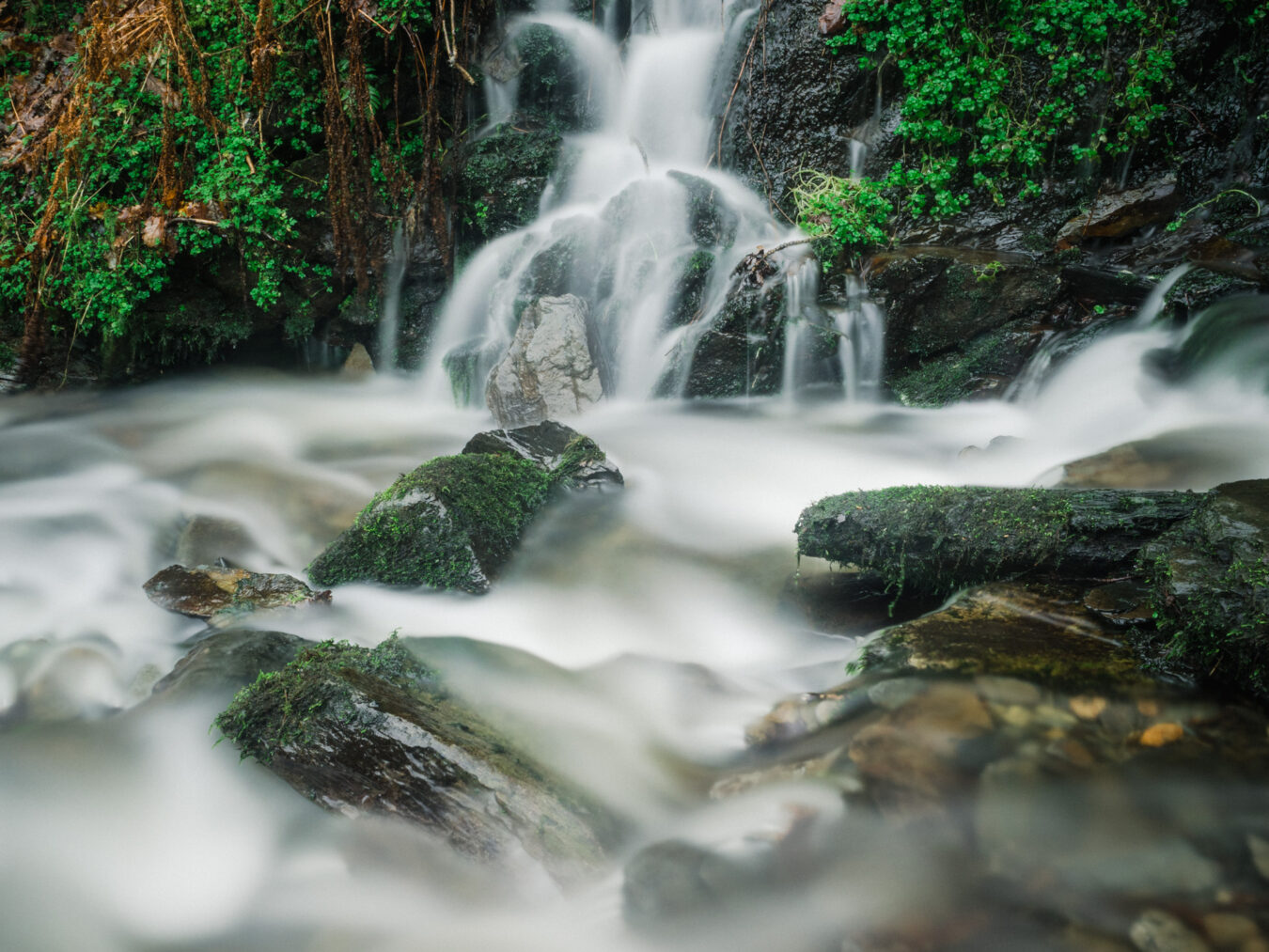 Dolgoch Falls