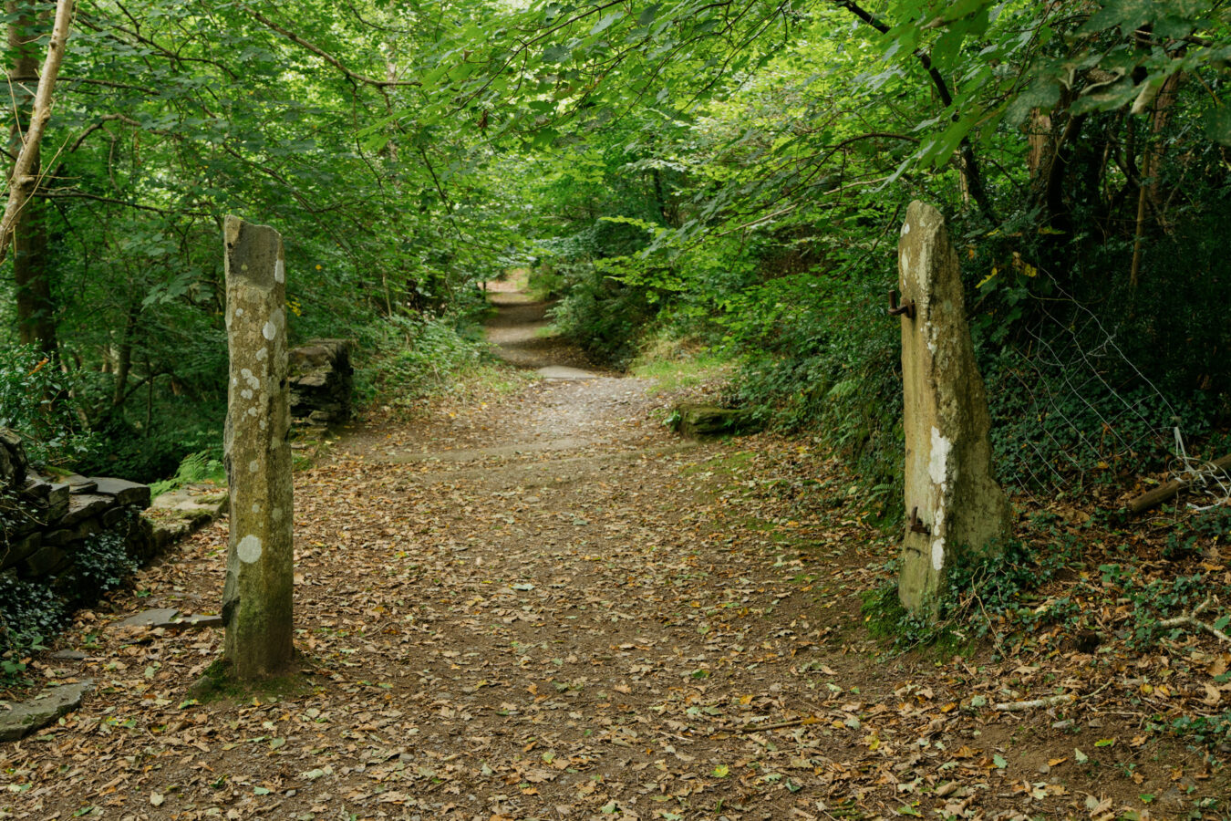 Path going through old gate pillars