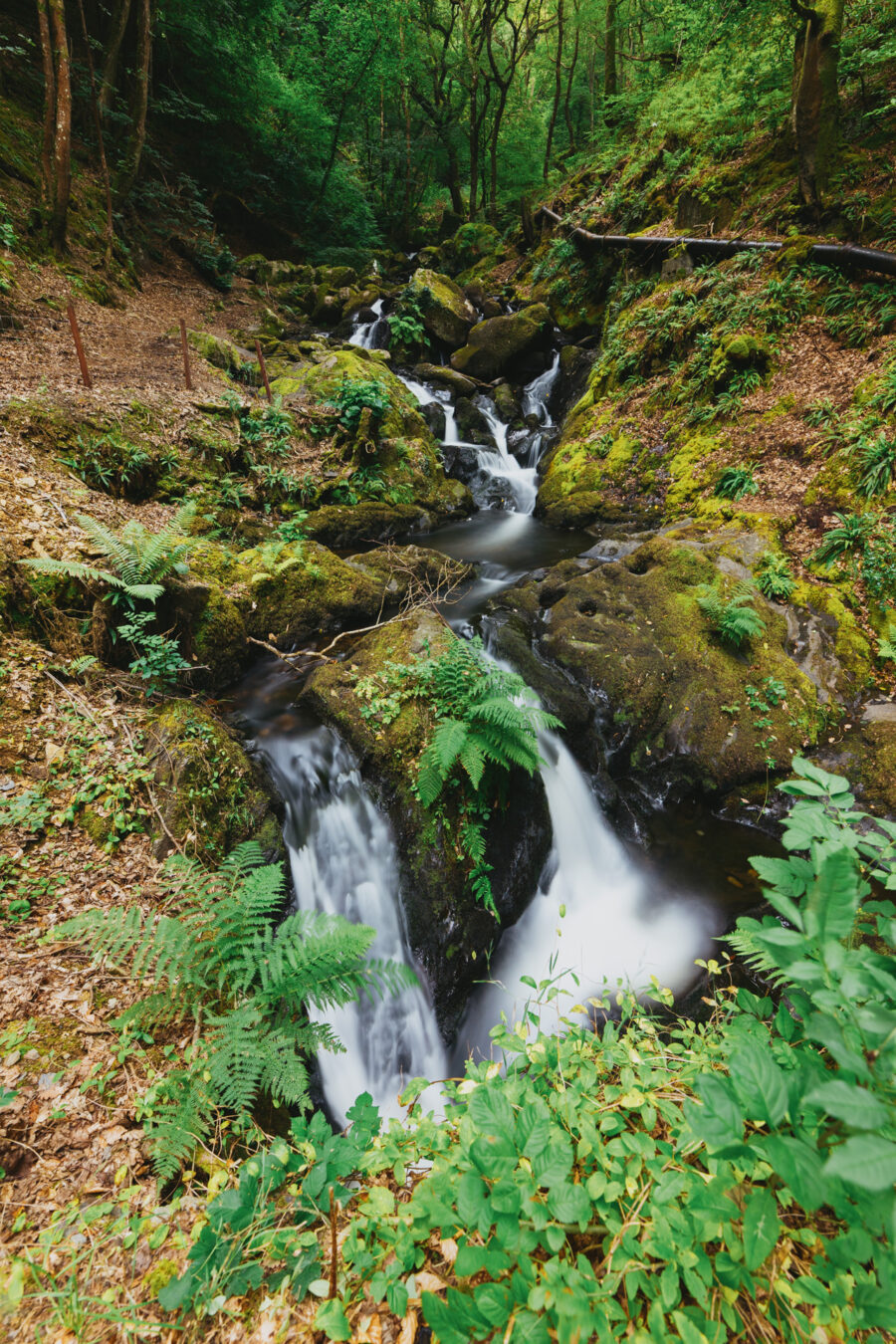 Arthog Waterfalls