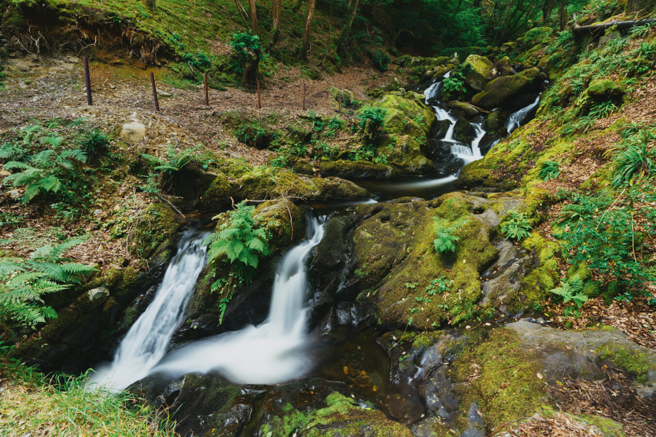Arthog Waterfalls