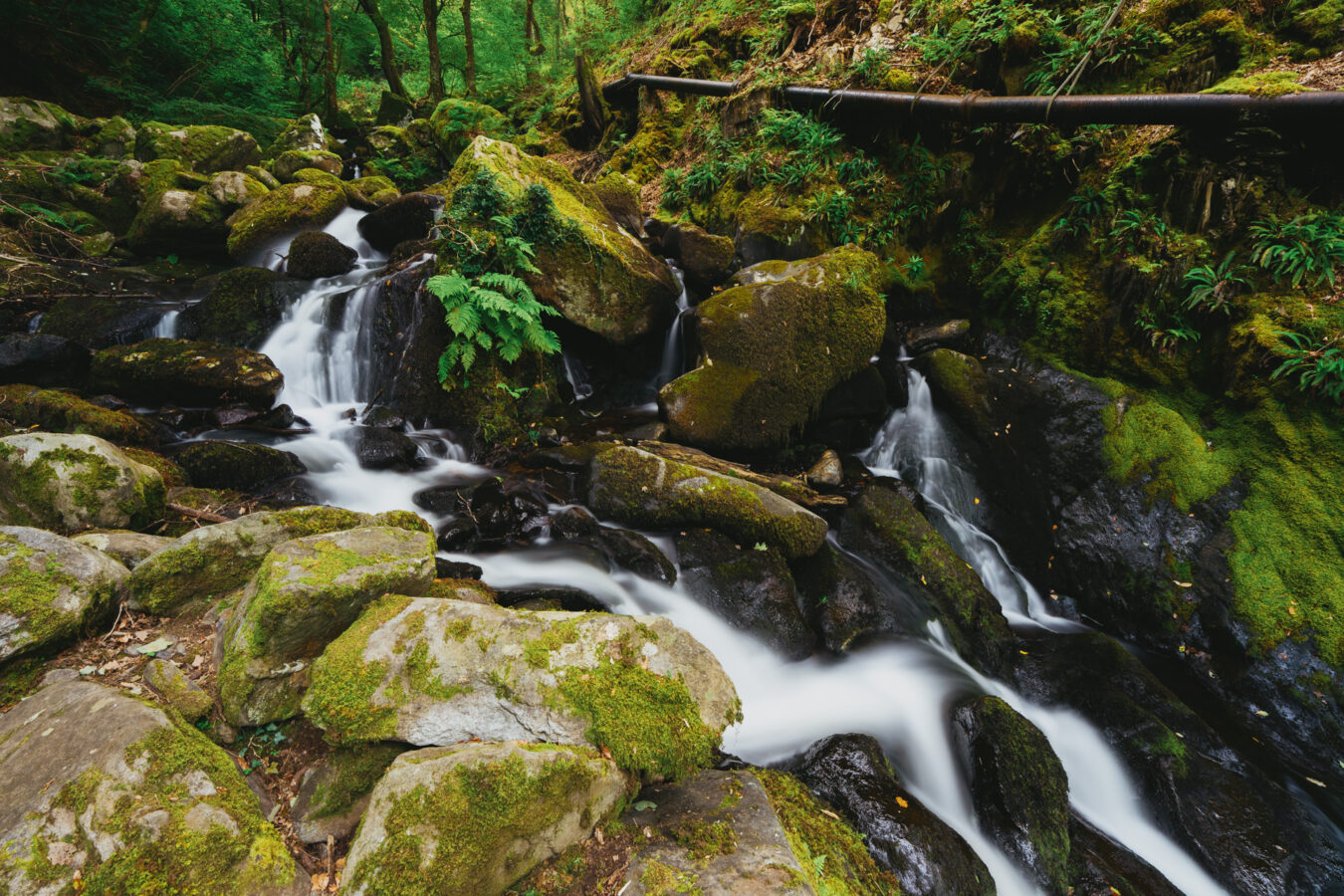 Arthog Waterfalls