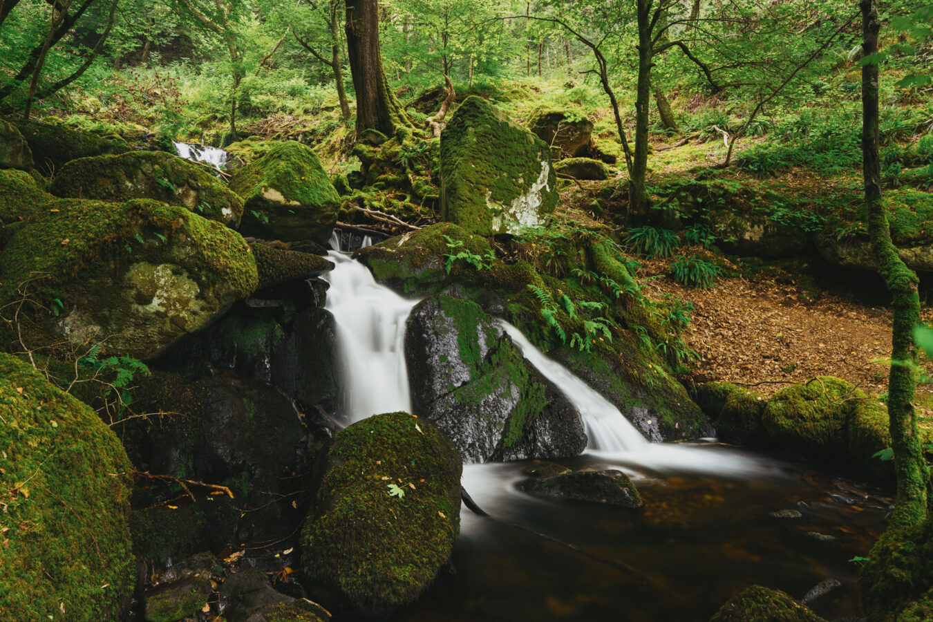 Arthog Waterfalls