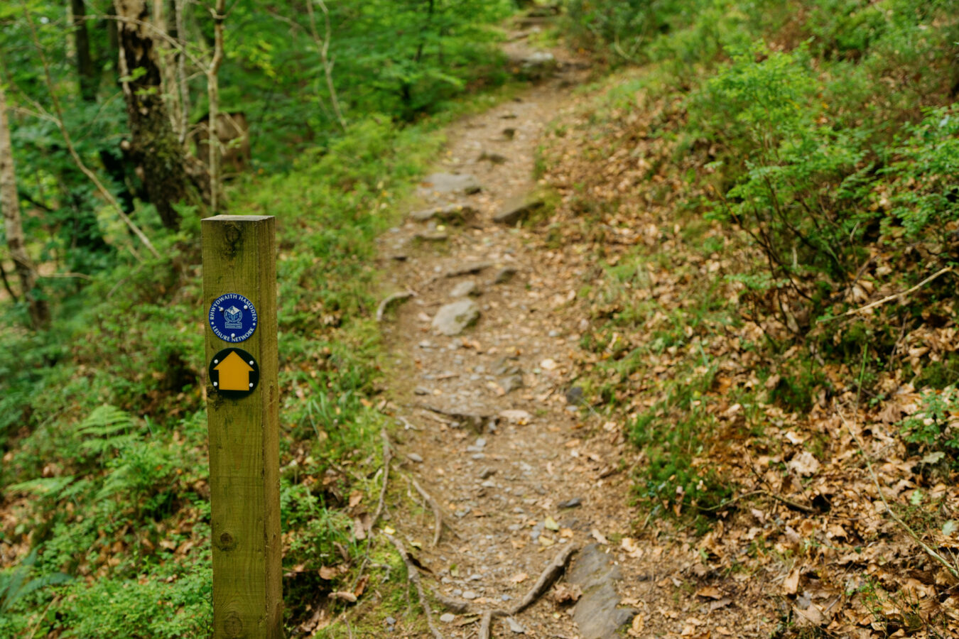 Signpost showing the direction of the trail