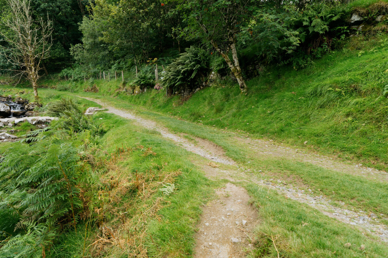 Farm track