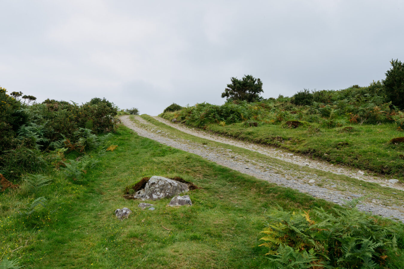 Farm track