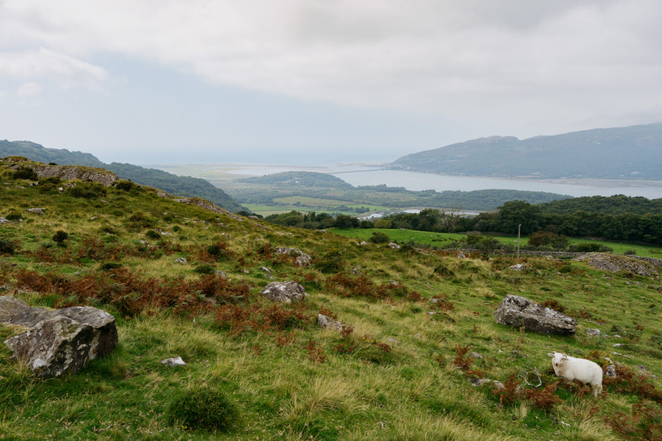 View of the Mawddach estuary