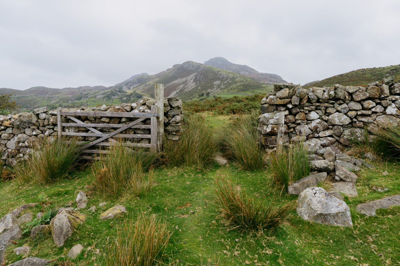 Gate through the wall