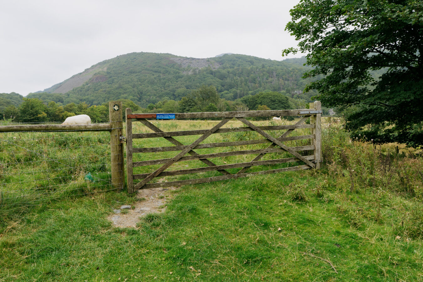 Farm gate