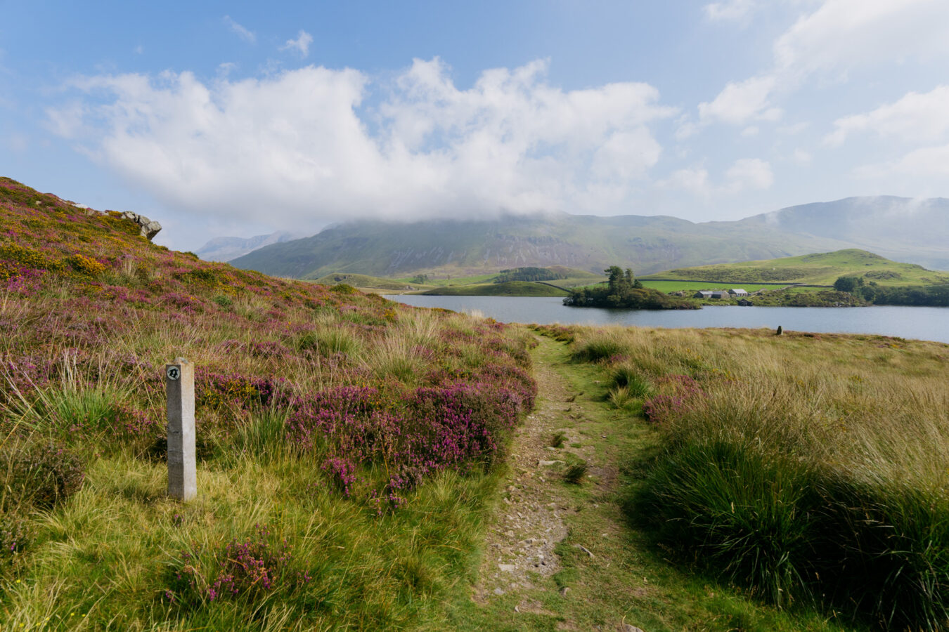 Path along the lake