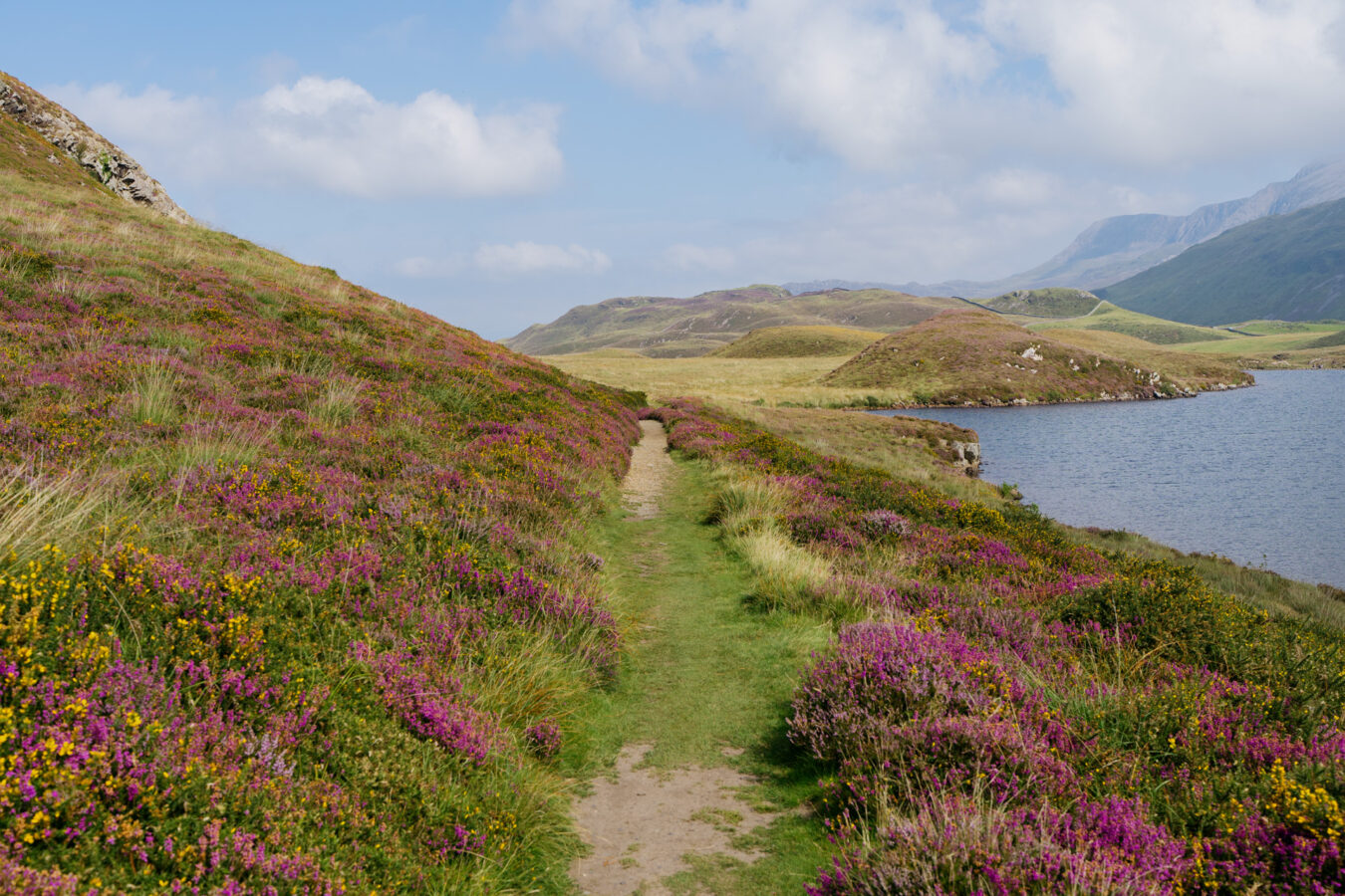 Trail along the Cregennan lake