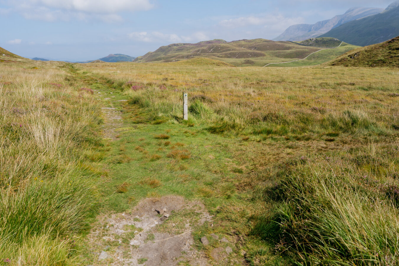 Fork with main path continuing straight and second path branching off on the right