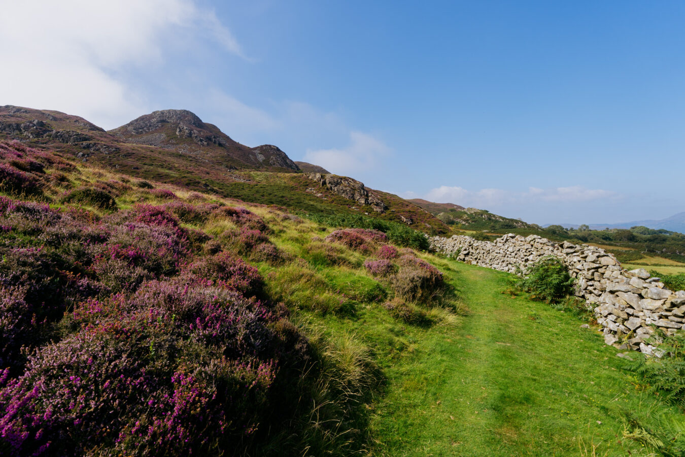 Path in the valley with heathers on the side