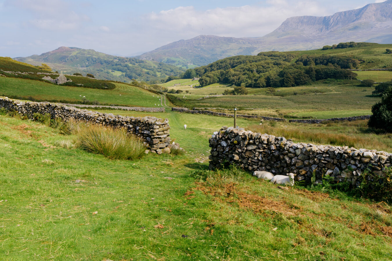 Path continues through a breach in the stone wall and a field.