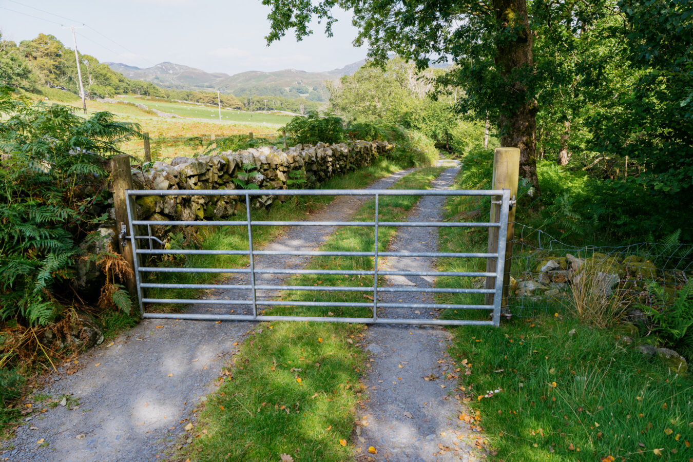 Farm gate