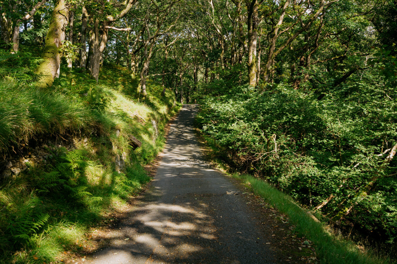 Narrow paved road
