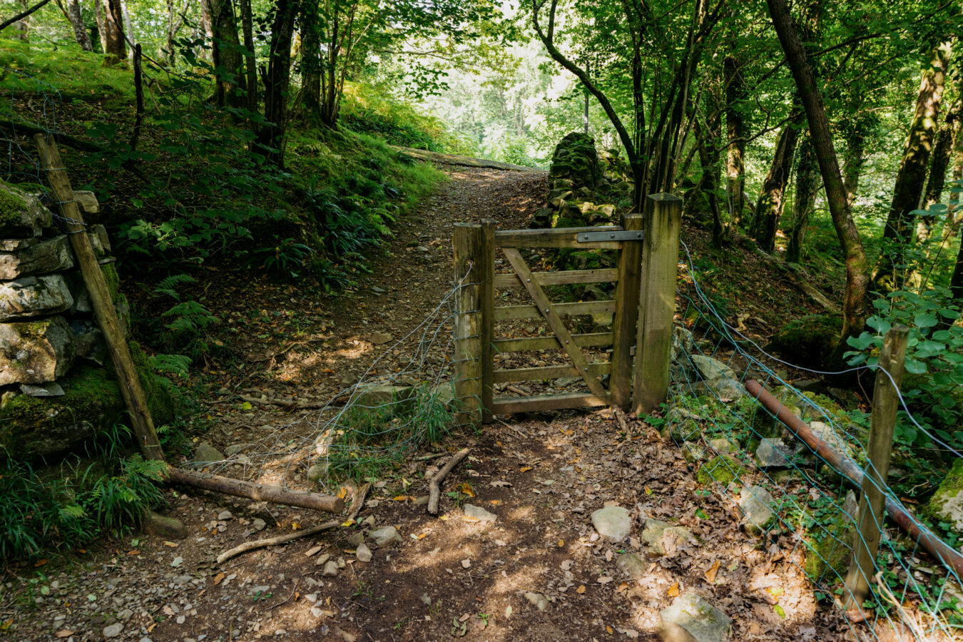 Gate and broken fence