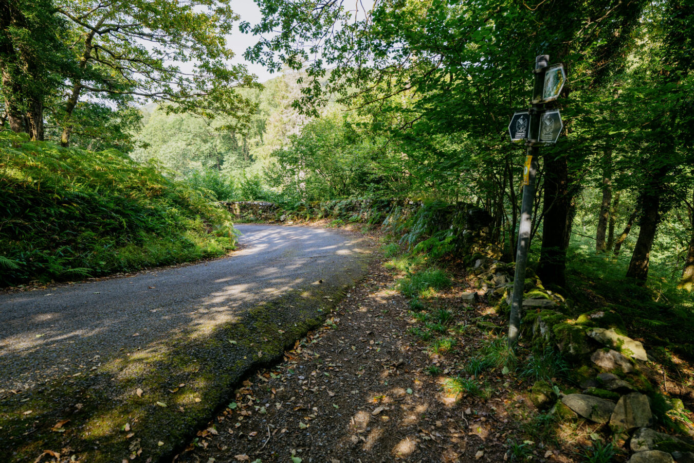 Trail meet a paved road