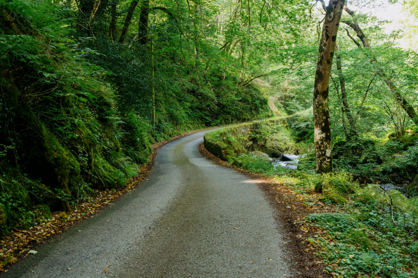 Narrow paved road going down along a stream