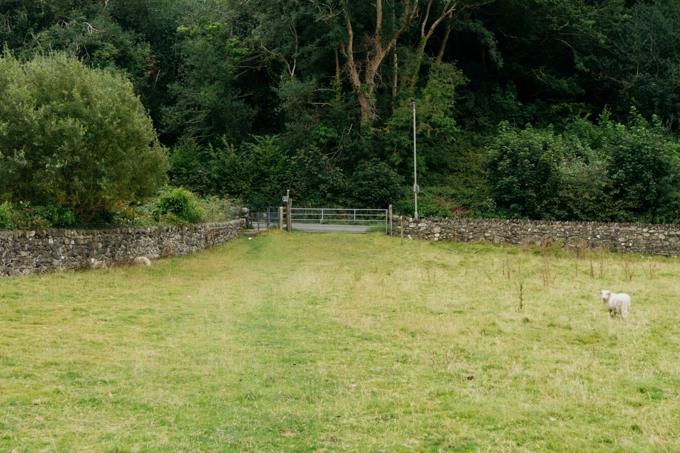 Farm gate on the other side of the field