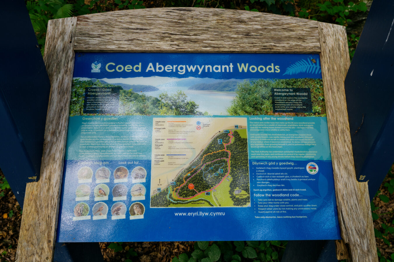 Abergwynant Woods information panel